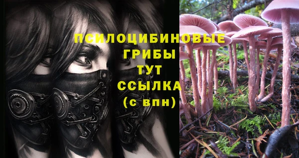 спиды Бугульма