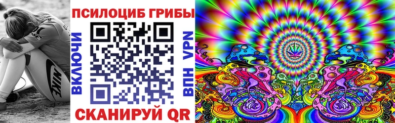 Псилоцибиновые грибы Cubensis  Купить где  Острогожск 